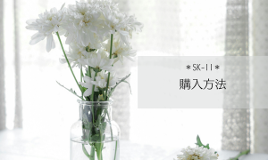 SK-II＊どこで購入？